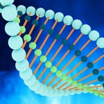 dna strands