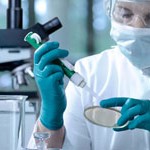 scientist working at the laboratory