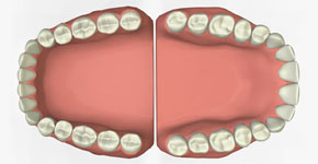 3d dental chart - Instituto Tomas Pascual Sanz