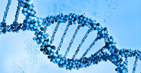 Digital illustration of a dna