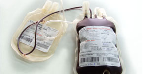 donación de sangre