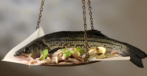 instituto tomas pascual pescado contaminante