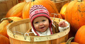 Baby in a Pumpkin Patch