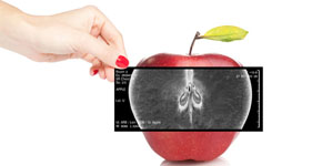 Female doctor holding an x-ray revealing inner view of a red app