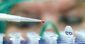 laboratory assistant analyzing a dangerous infection