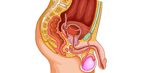 SALUD SEXUAL