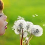 alergia, primavera