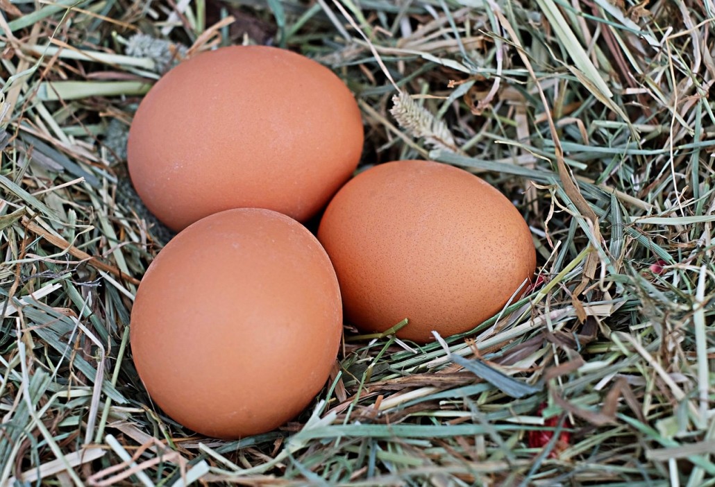 Huevos