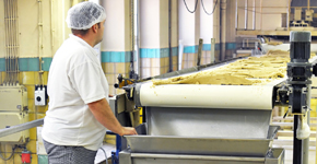 seguridad alimentaria