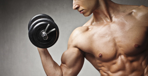 musculos