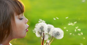 Alergia niños, inmunoterapia con alérgenos, inmunoterapia sublingual