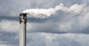 La alergia al polen puede afectar hasta el 40 por ciento de la población y el riesgo varía en función de la exposición a factores ambientales como la contaminación atmosférica