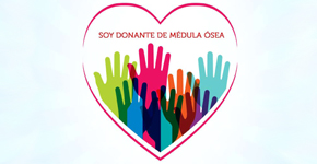 donante de médula