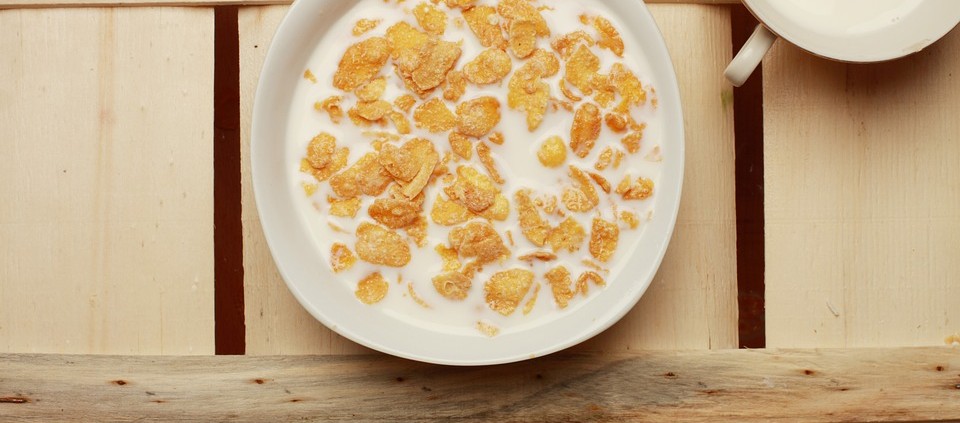 leche contra la obesidad