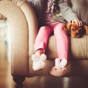 ventaja de tener mascota, animales