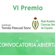 VI Premio ITPS_RACVE