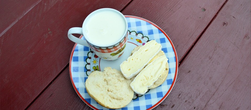 leche y pan