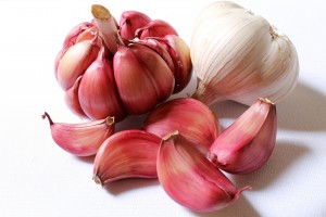 Compuestos bioactivos del ajo para mejorar la función endotelial y salud cardiovascular