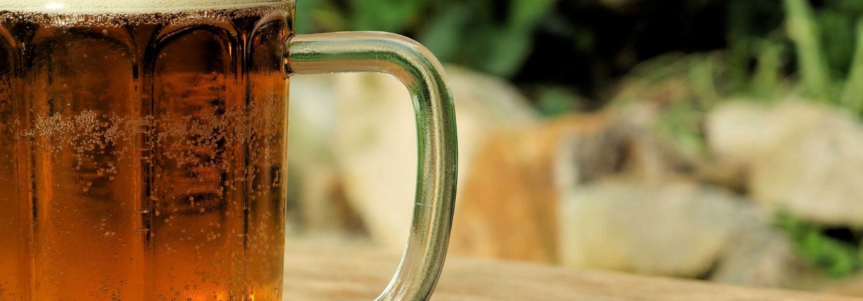 cerveza y salus óseo