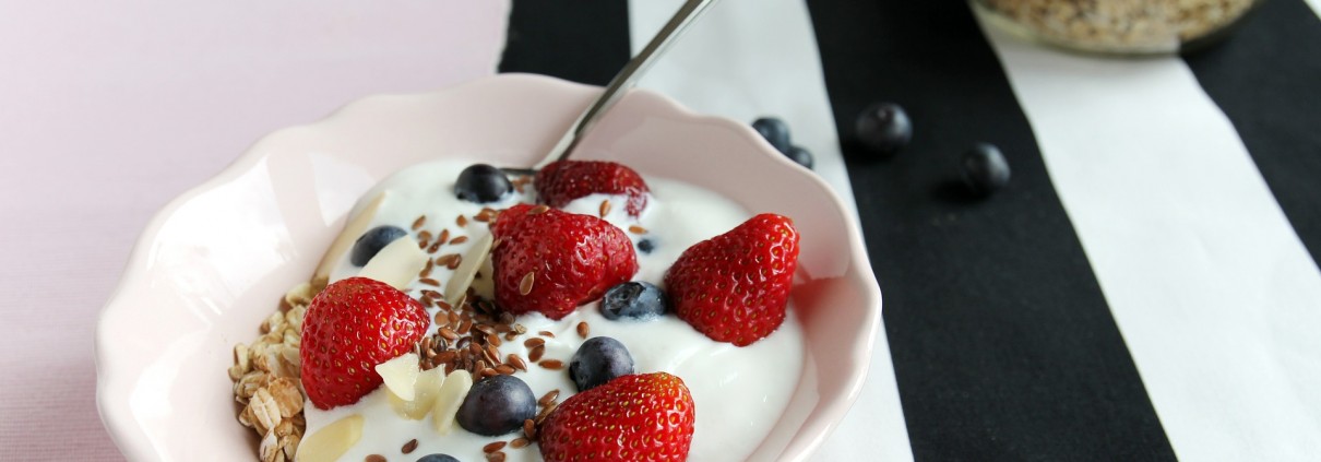 propiedades del yogur
