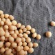 Soja genisteína tratamiento Alzheimer