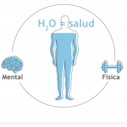 SLA_BO_ITPS_infografia_hidratacion_13052016_006-02