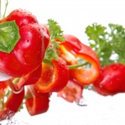 nutrición Navarra