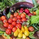 dieta mediterránea