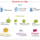 SLA_BO_infografiaVIAJESS_ITP_21062016_003-03