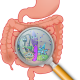intestino