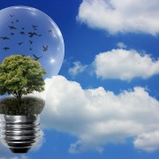 día mundial del medio ambiente