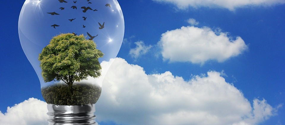 día mundial del medio ambiente
