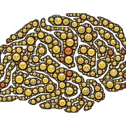 cerebro, intestino, emociones
