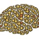 cerebro, intestino, emociones