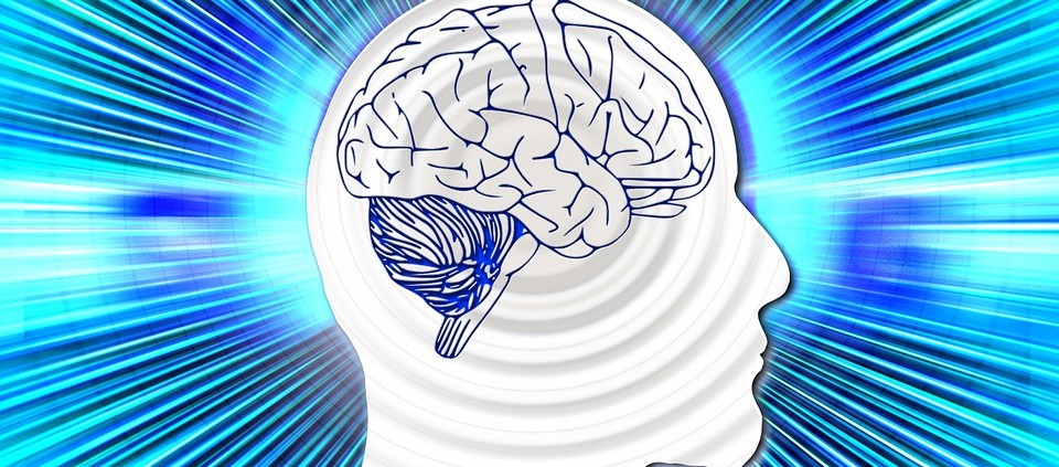 cerebro e intestino