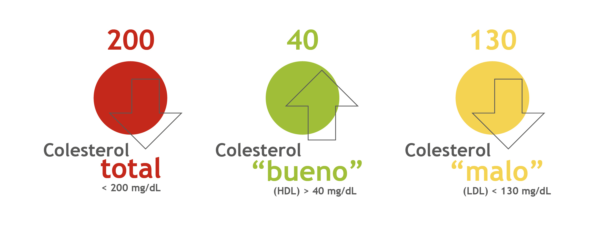 sla_bo_itps_infografiacolesterol_21092016_002-02