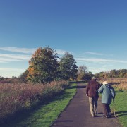 prevenir el alzheimer