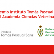 VI Premio