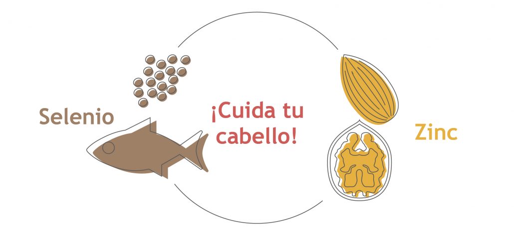 sla_bo_infografiatrucosbelleza_itps_21032017_001-02