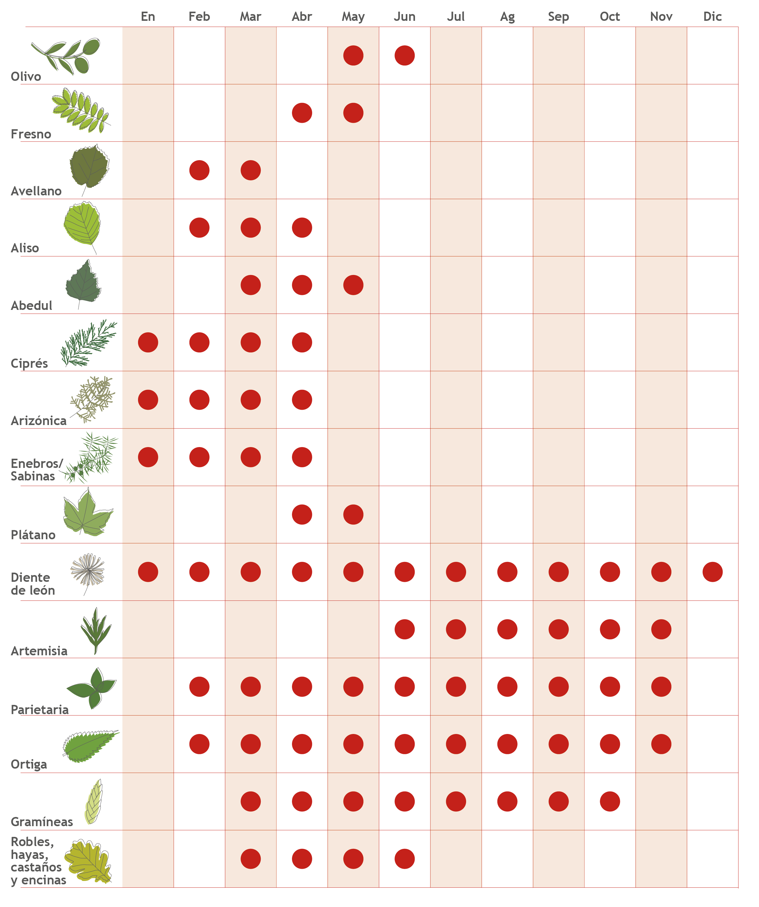 Estacionalidad de las alergias - Calendario de floración de las plantas