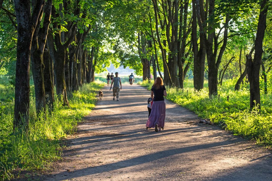 pasear