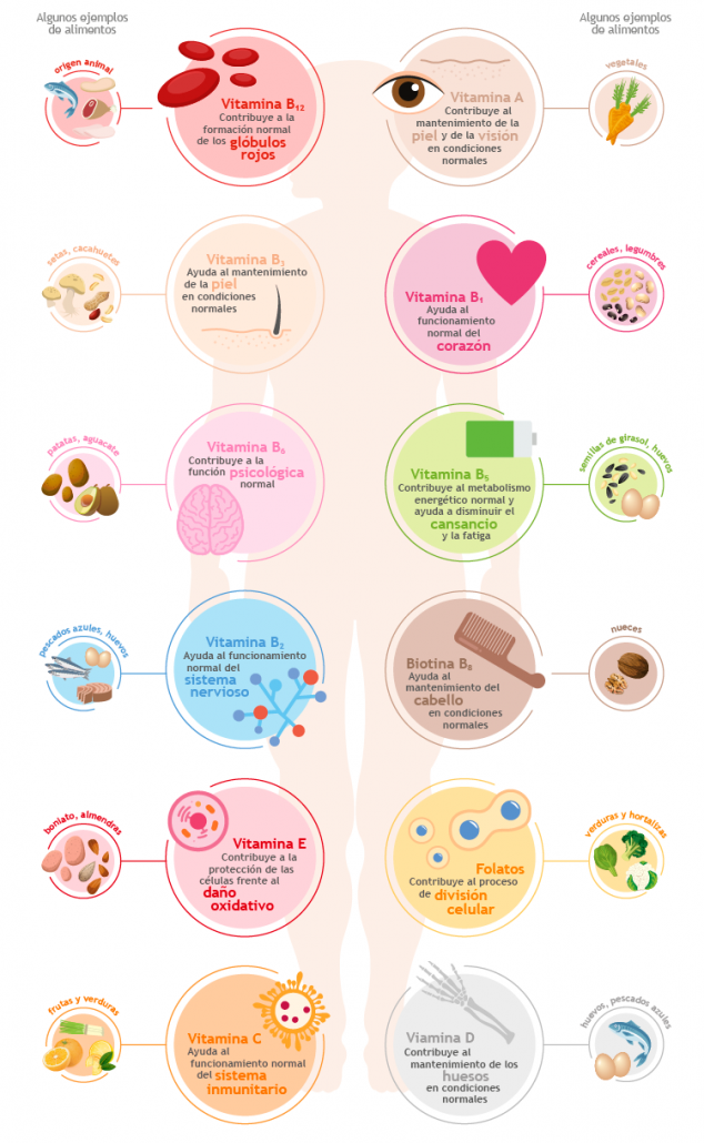 sla_jh_itps_infografia_vitaminas_29092017_005-1
