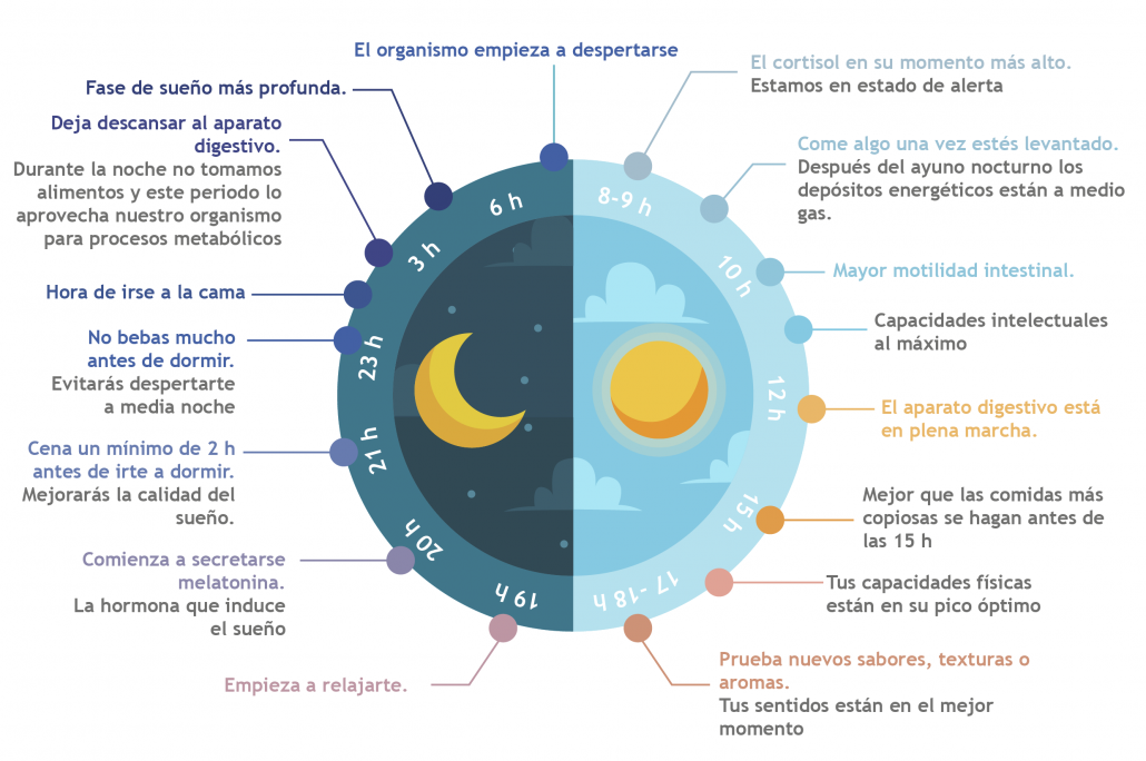 sla_bo_itps_infografia_cronobiologia_11052018_001-02