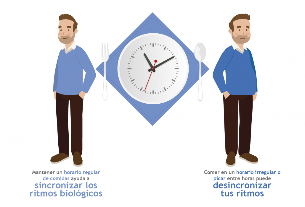 sla_bo_itps_infografia_cronobiologia_11052018_001-04