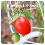 Huertos Urbanos