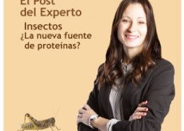 Insectos, la proteína de moda. Laura Rojas