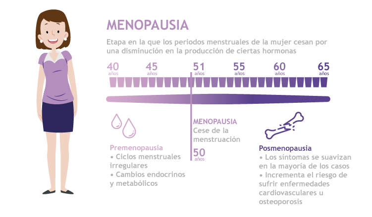 sla_bo_itps_infografia_menopausia_16102018_001-06